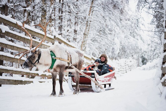 Arctic Circle Highlights Family Day By Minibus - Reindeer Farm Encounter
