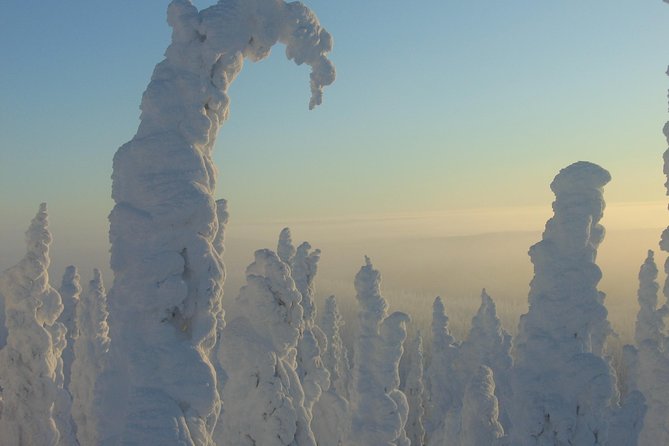 Arctic Circle Winter Drive Adventure - Traveler Photos and Reviews