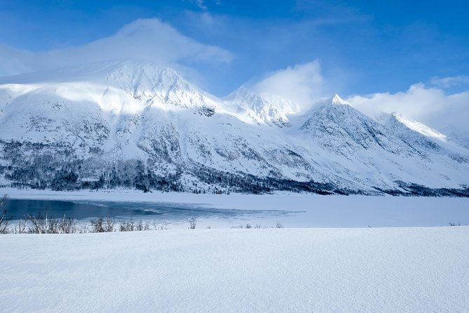 Arctic Fjord and Landscape Tour - Tour Overview