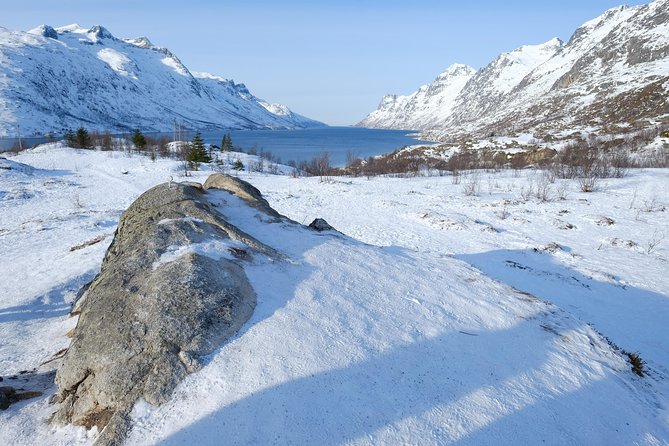 Arctic Fjord and Landscape Tour - Tour Details