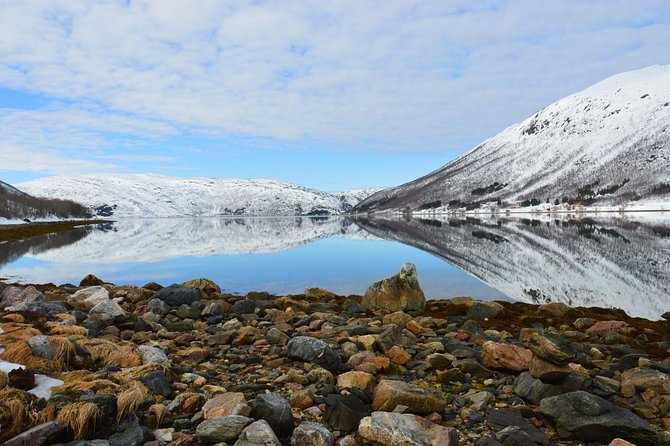 Arctic Fjord and Landscape Tour - Reviews and Testimonials