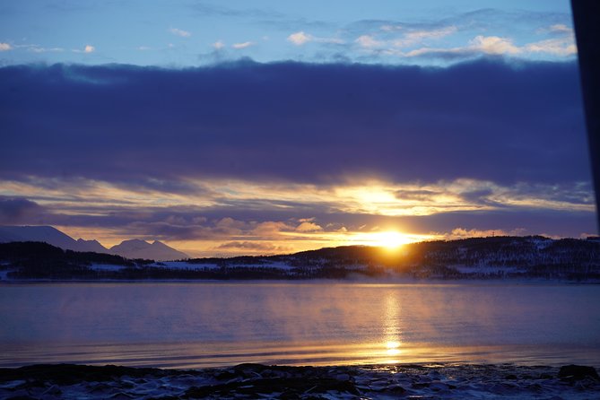 Arctic Fjord and Landscape Tour - The Sum Up