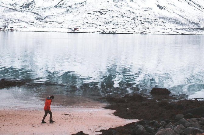 Arctic Fjord Sightseeing by Minibus - Customer Feedback and Reviews