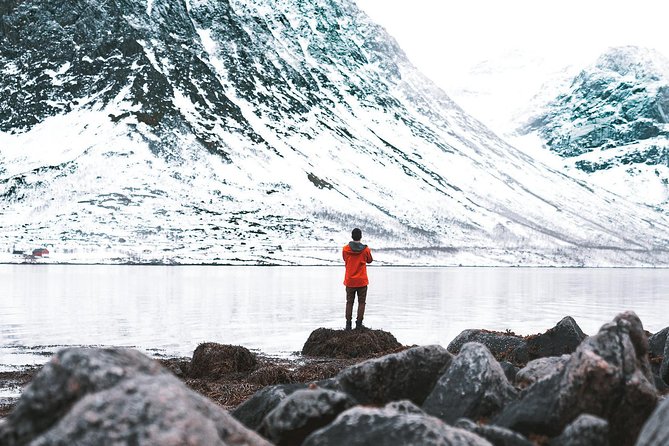 Arctic Fjord Sightseeing by Minibus - Scenic Locations