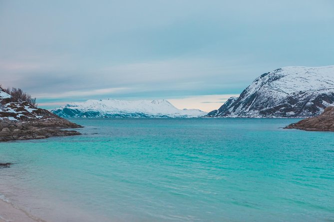 Arctic Fjord Sightseeing by Minibus - Tour Guide and Driver