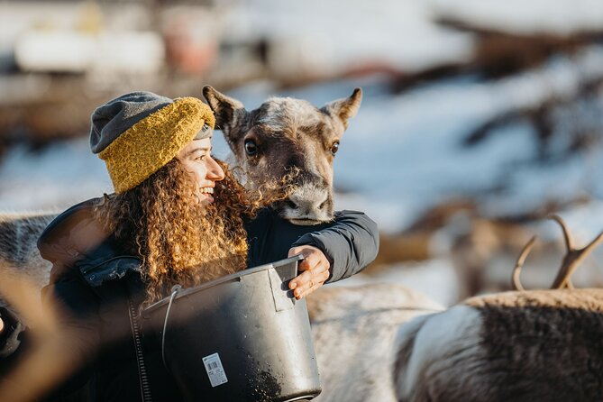 Arctic Fjords and Reindeer Experience – Small Group Tour - - Inclusions and Amenities