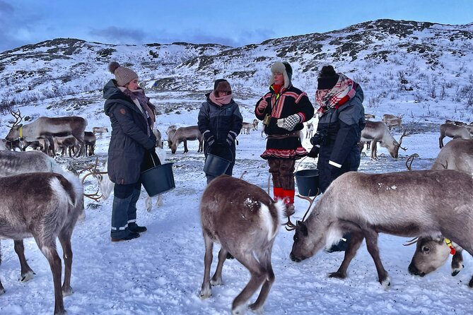 Arctic Fjords and Reindeer Experience – Small Group Tour - - Sami Cultural Experience