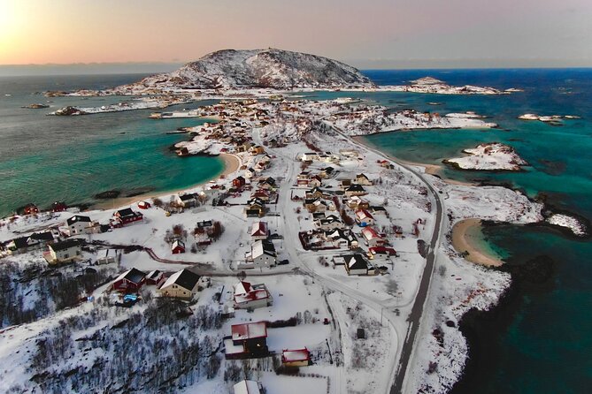 Arctic Fjords and Reindeer Experience – Small Group Tour - - Reindeer Interactions