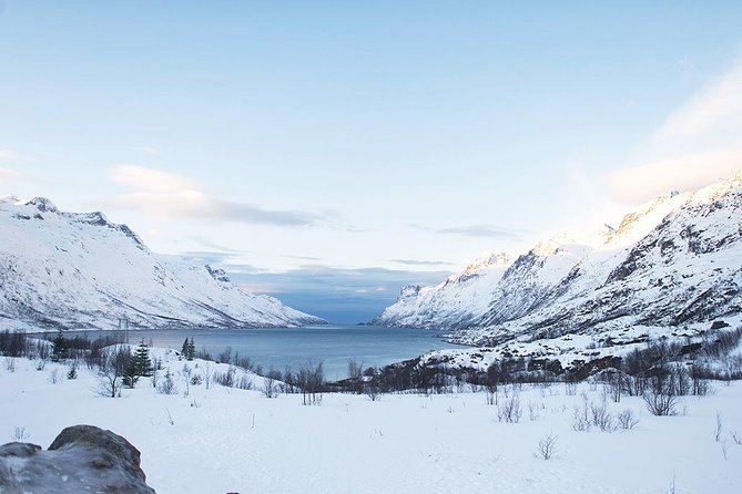 Arctic Fjords Road Trip - Arctic Fjords Road Trip: Tour Details