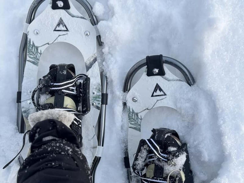 Arctic Gateway: Snowshoeing Expedition in Lapland - Good To Know  