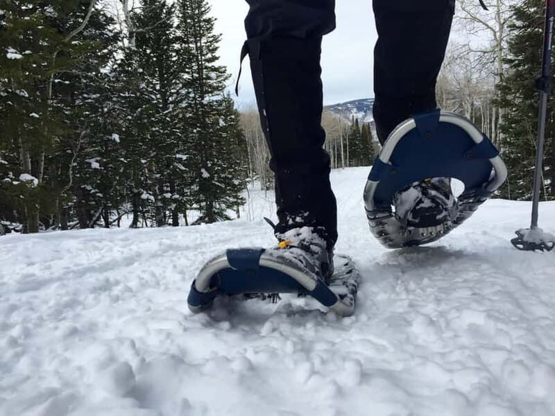 Arctic Gateway: Snowshoeing Expedition in Lapland - Analyzing Value and Practical Aspects