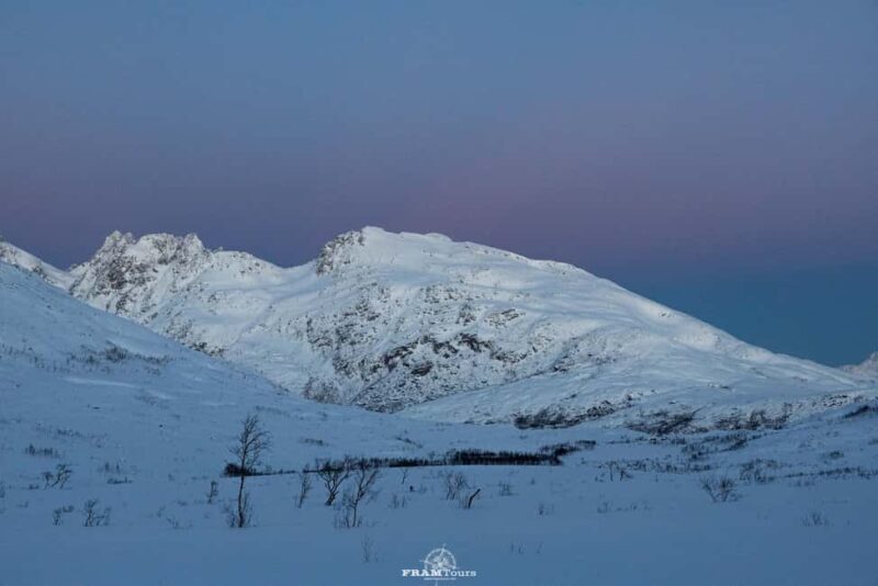 Arctic hike on Kvaløya Island with drinks and snacks - Good To Know