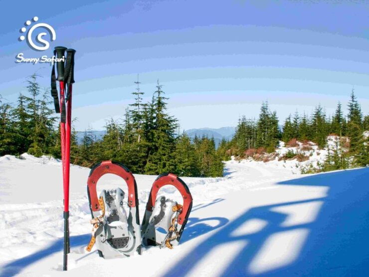Arctic Ice Fishing by Snowshoe - Activity Information
