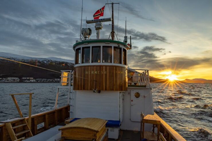 Arctic Light Evening Cruise - Booking Details and Flexibility