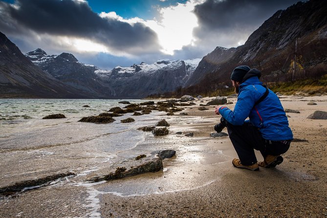 Arctic Nature Tour From Tromsø by Minibus - Tour Confirmation and Requirements