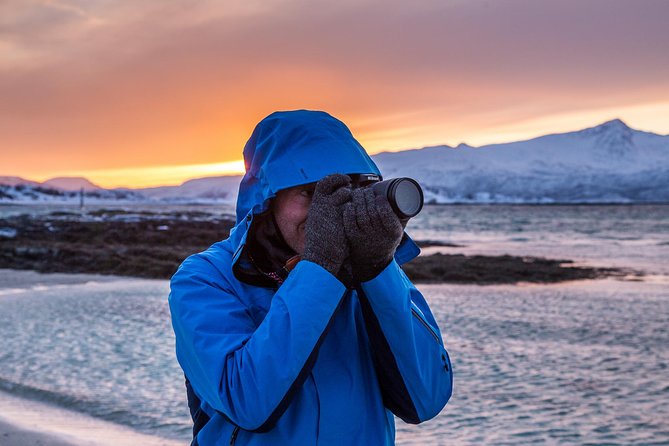 Arctic Nature Tour From Tromsø by Minibus - Maximum Group Size and Weather Dependency
