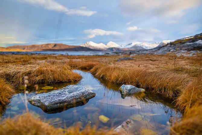 Arctic Nature Tour From Tromsø by Minibus - Traveler Photos and Reviews