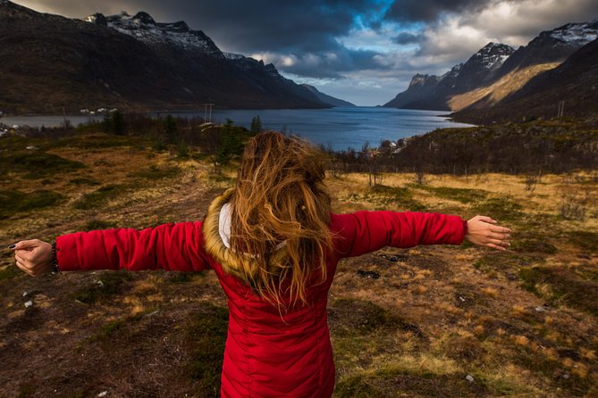Arctic Nature Tour From Tromsø by Minibus - Featured Review and Overall Rating