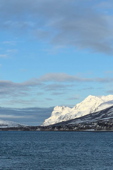 Arctic Nature Tour in Kvaløya With Hot Food and Drinks - Fjords and Mountains