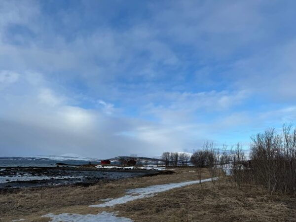 Arctic Nature Tour in Kvaløya With Hot Food and Drinks - Wildlife Sightings