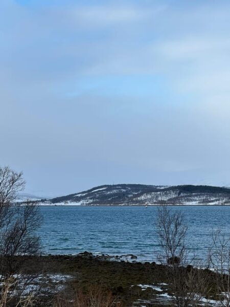 Arctic Nature Tour in Kvaløya With Hot Food and Drinks - Photography Opportunities
