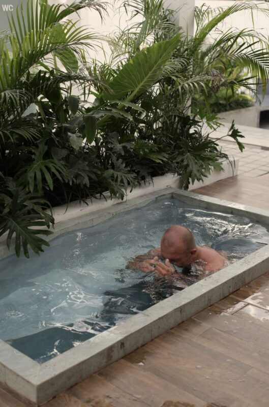 ARCTIC Recovery SPA & Restaurant in Ubud Bali - Who will get the most from ARCTIC?