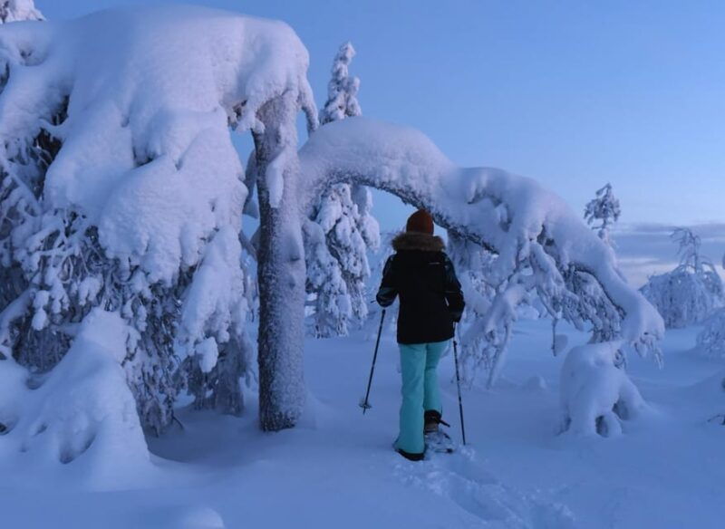 Arctic Reindeer Farm Experience with Snowshoeing in the Wild - Good To Know