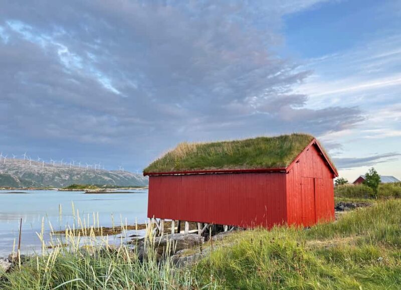 Arctic road trip - day tour. - Arctic Road Trip - Day Tour: A Complete Guide to Exploring Norway’s Arctic Wilderness