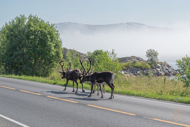 Arctic Roadtrip: Fjords With Scenic Picnic | Small Group 4x4 Van - Directions and Meeting Instructions