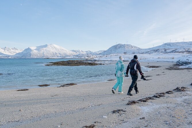 Arctic Roadtrip: Sommarøy With Scenic Picnic Sightseeing - Capturing Reindeer and Beach Locations