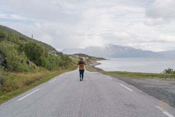 Arctic Roadtrip: Sommarøy With Scenic Picnic Sightseeing - Personalized and Flexible Tour Experience