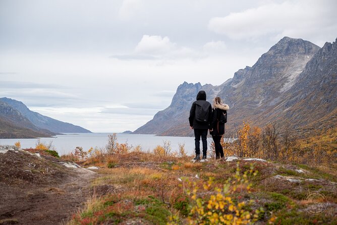 Arctic Roadtrip: Sommarøy With Scenic Picnic Sightseeing - The Sum Up