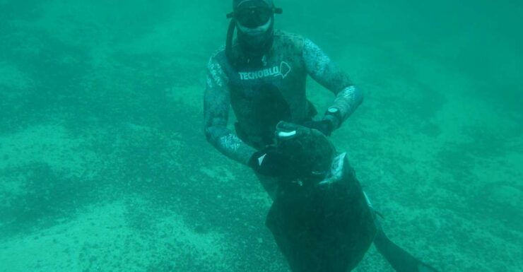 Arctic Spearfishing Guided Trip - Trip Overview