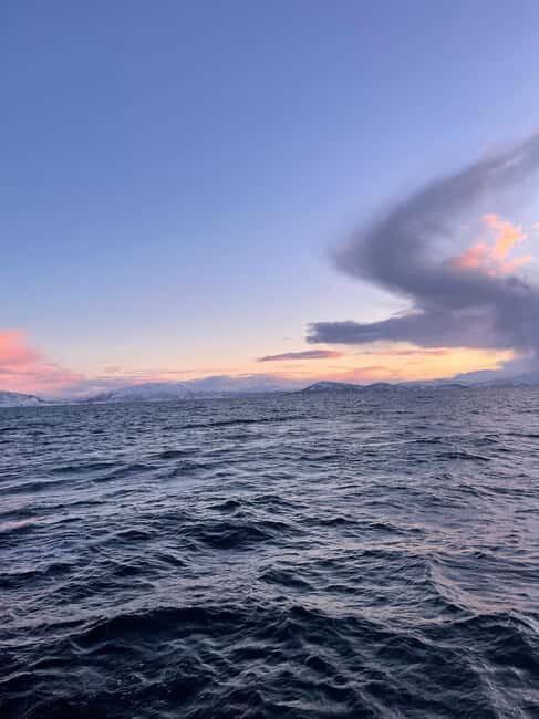 Arctic Whale Watching: Tromsø to Skjervøy in Comfort - Arrival and Boarding: The Yacht Leah William