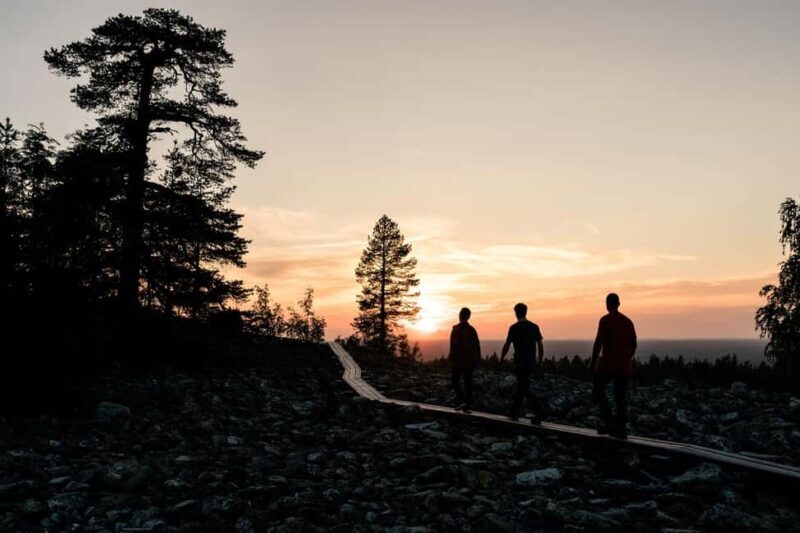 Arctic Wilderness Hike from Rovaniemi (Day & Evening) - Good To Know