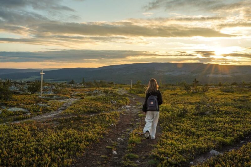 Arctic Wilderness Hike from Rovaniemi (Day & Evening) - FAQ