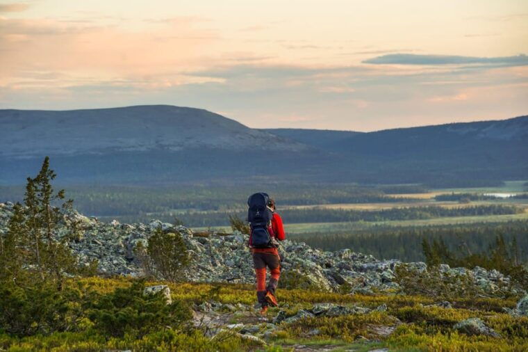 Arctic Wilderness Hike from Rovaniemi (Midnight sun/Sunset) - The Sum Up