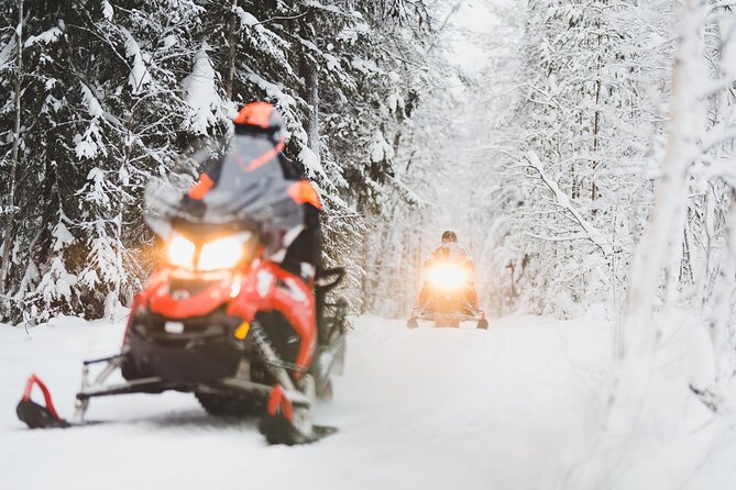 Arctic Wilderness Snowmobile Adventure With Lunch  - Rovaniemi - Price and Guarantee