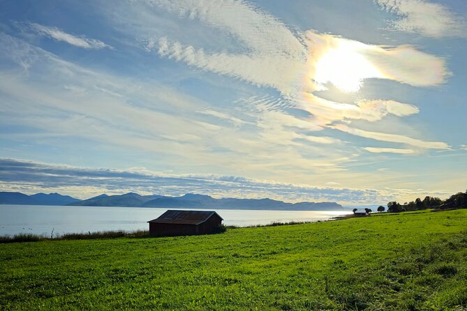 Arctic Wildlife and Fjord Sightseeing - Pricing and Availability
