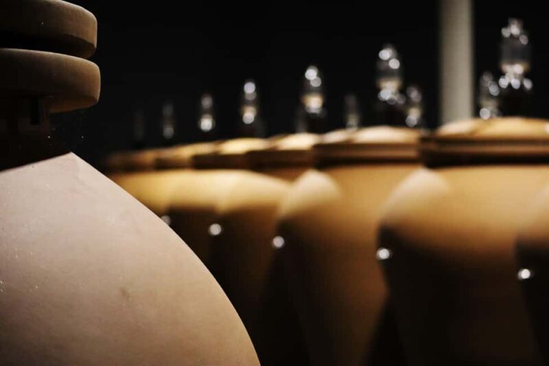 Ardèche: Cellar tour and tasting of our range - Good To Know