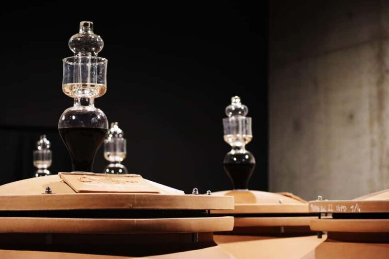 Ardèche: Cellar tour and tasting of our range - What to Expect from the Cellar Tour and Tasting