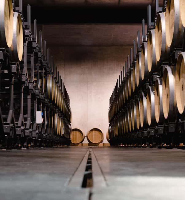 Ardèche: Cellar tour and tasting of our range - Authenticity and Accessibility