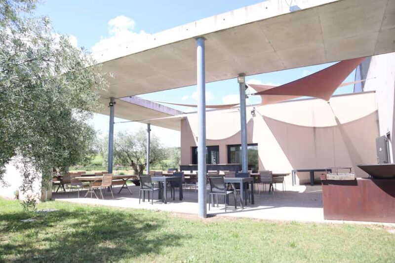 Ardèche: Cellar tour and tasting of our range - A Final Word: Is This Tour for You?