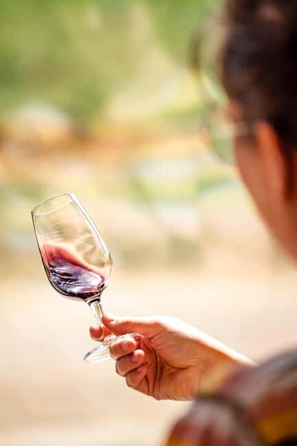 Ardèche: guided tour of our wine estate with tasting - Good To Know