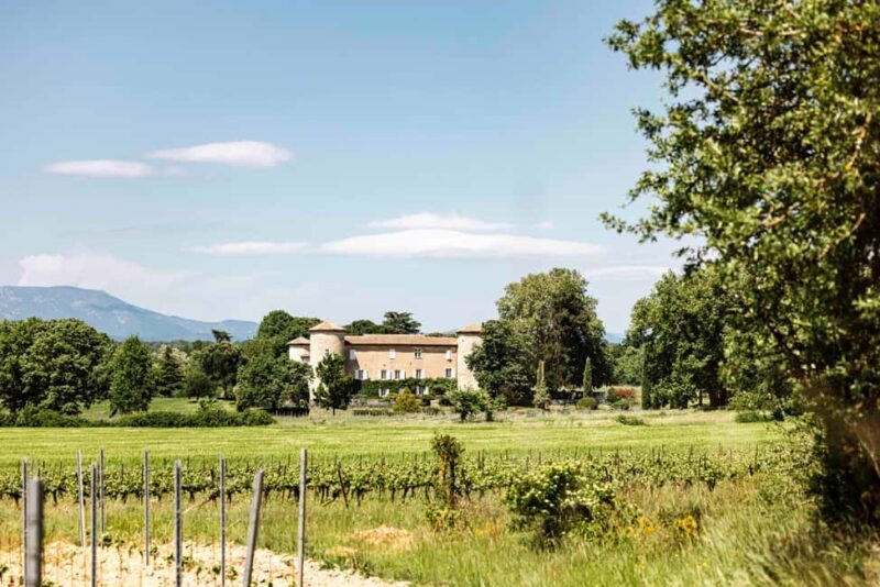 Ardèche: guided tour of our wine estate with tasting - Why It’s a Great Choice