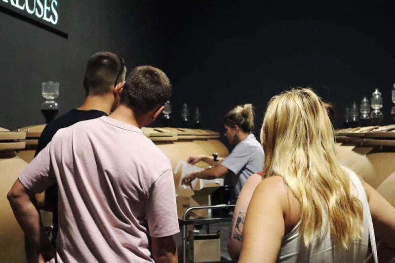 Ardèche: Tour and tasting of wines aged in amphorae and barrels - What to Expect from the Ardèche Wine and Aging Methods Tour