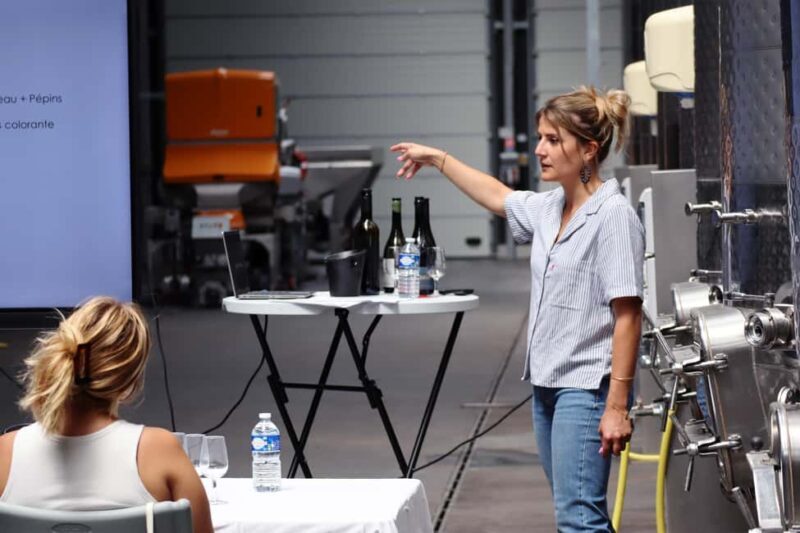 Ardèche: Tour and tasting of wines aged in amphorae and barrels - Who Should Consider This Tour?