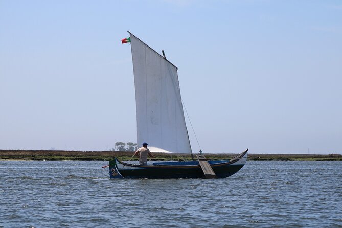 Are You Ready for Adventure Come and Discover the Ria De Aveiro - Experience Thrilling Water Activities in Ria De Aveiro