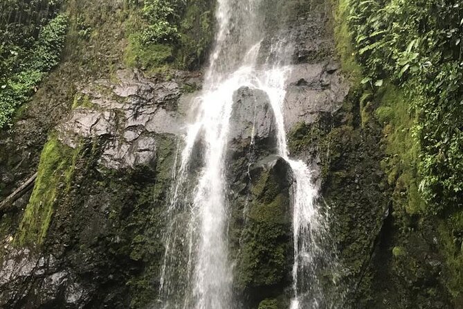 Arenal Adventure: Waterfall, Bridges, Volcano Experience Awaits - Waterfall Exploration
