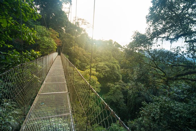Arenal Hanging Bridges Hiking Tour - Good To Know